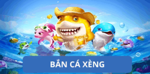 Giới Thiệu Về Bắn Cá Xèng 333win